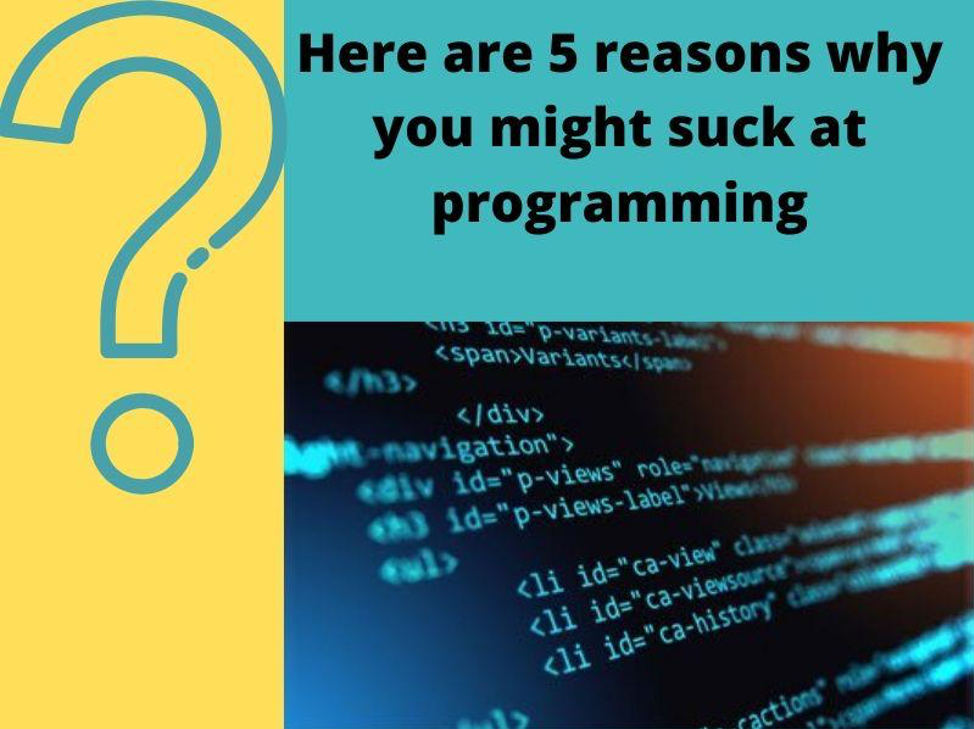5 Reasons Why You Might Suck at Programming