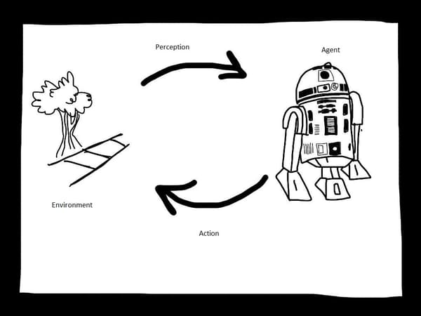 What are Agent and Environment in AI?